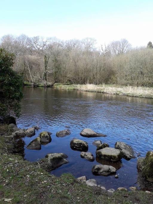Stunning 3 Bed Riverside Cabin In Snowdonia Caeathro エクステリア 写真