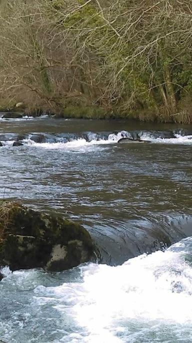 Stunning 3 Bed Riverside Cabin In Snowdonia Caeathro エクステリア 写真