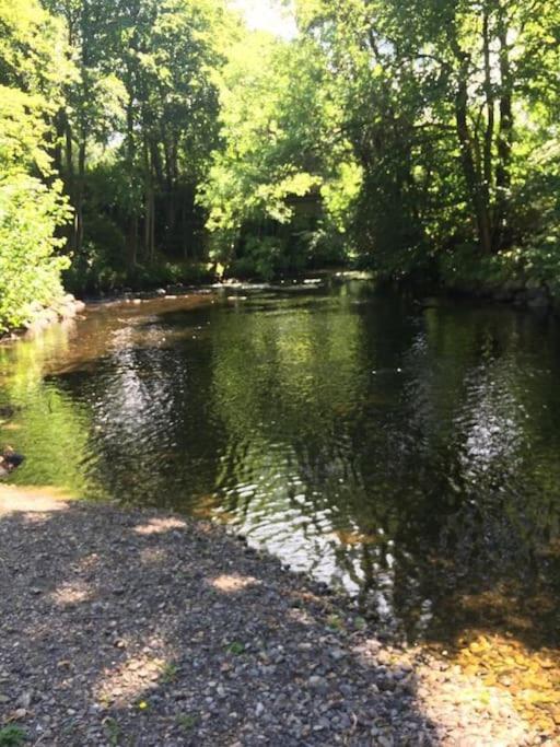 Stunning 3 Bed Riverside Cabin In Snowdonia Caeathro エクステリア 写真