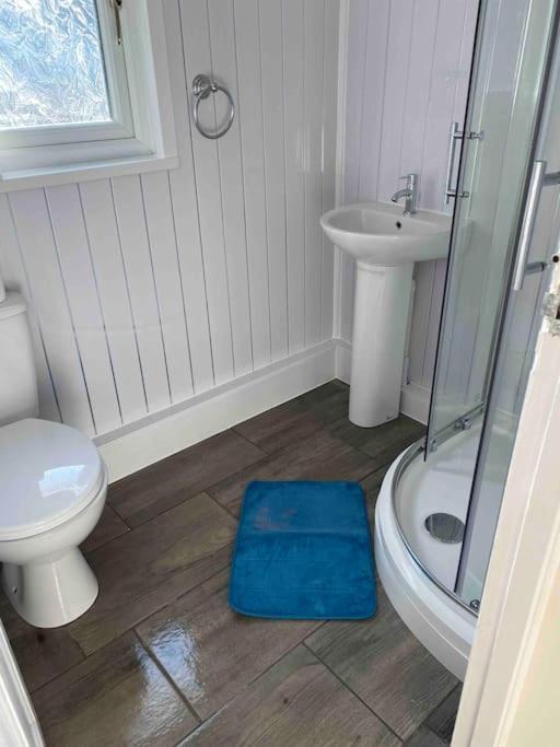 Stunning 3 Bed Riverside Cabin In Snowdonia Caeathro エクステリア 写真
