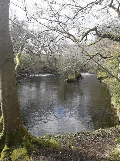 Stunning 3 Bed Riverside Cabin In Snowdonia Caeathro エクステリア 写真