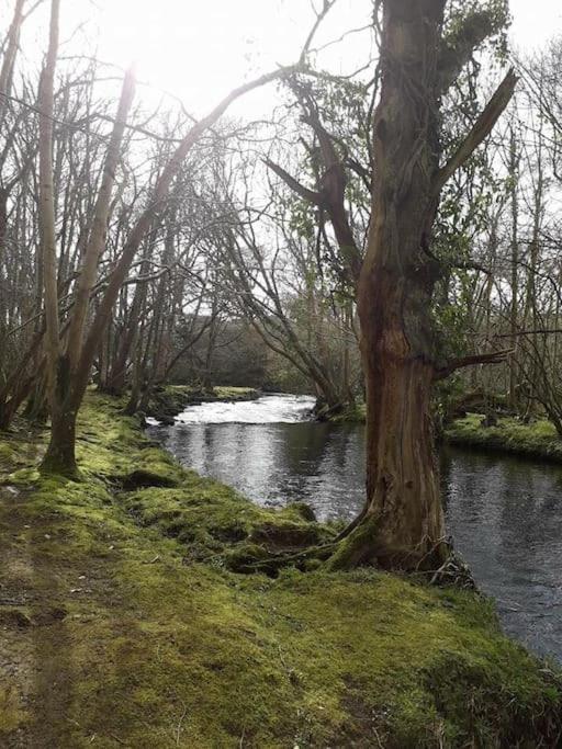 Stunning 3 Bed Riverside Cabin In Snowdonia Caeathro エクステリア 写真