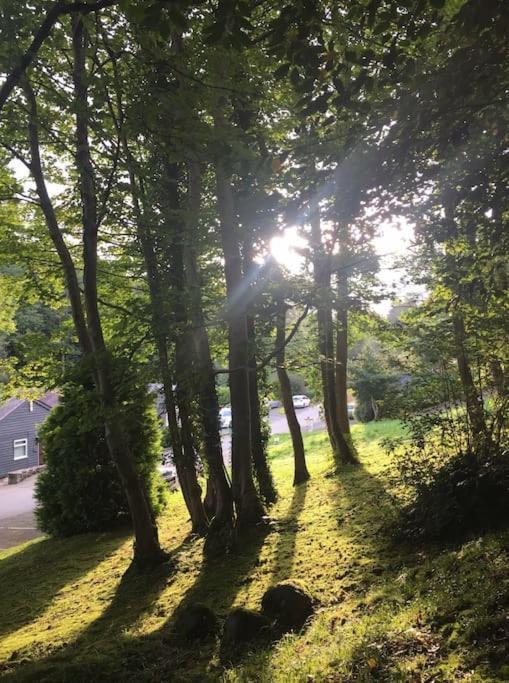 Stunning 3 Bed Riverside Cabin In Snowdonia Caeathro エクステリア 写真